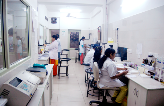 Hematology Department